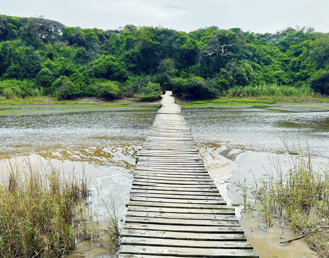 Umhlanga Lagoon Nature Reserve