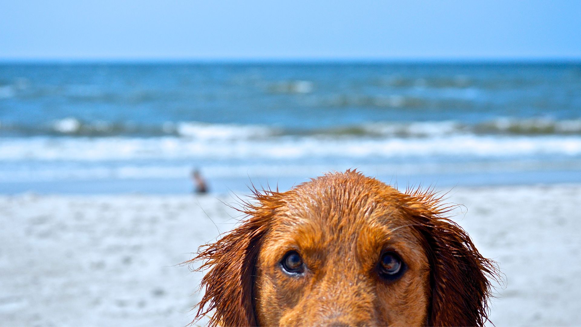 Welcome to The Umhlanga Journal